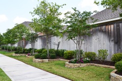 Katy Landscaping26