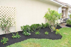 Katy Landscaping7