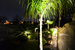 Katy Outdoor Lighting 026
