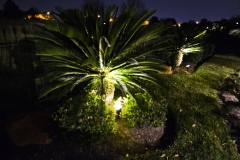 Katy Outdoor Lighting 031