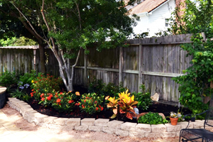Katy Landscaping Services