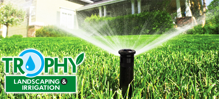 katy-Sprinkler-repair-Sprinkler-system4